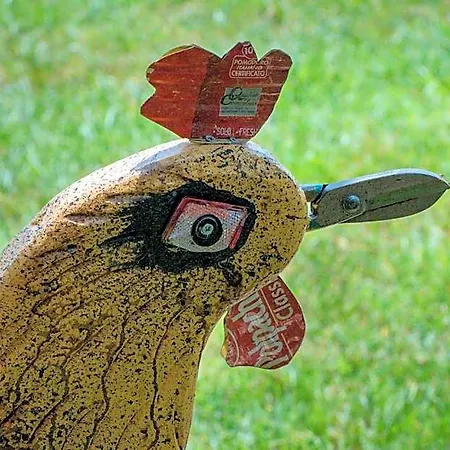 Rooster Hotel Gavrio